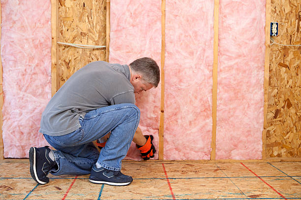 Types of Insulation We Offer in Bushyhead, OK